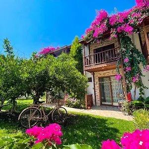 Misafir Evi Homestay Faralya