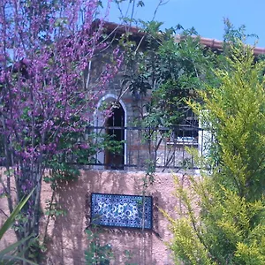 Fig Garden Holiday home Kayakoy